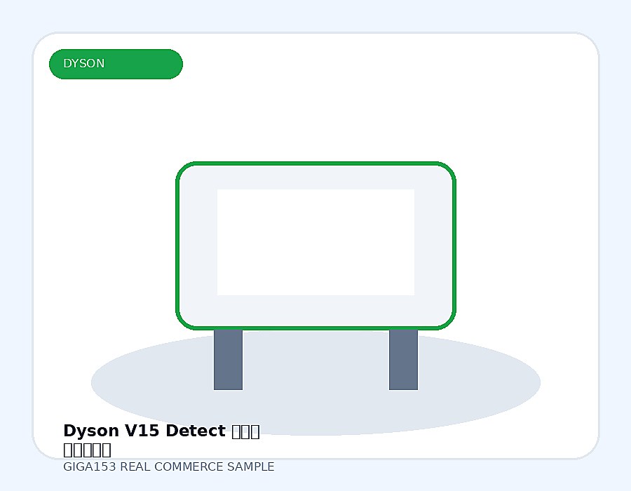 Dyson V15 Detect 청소기 선물패키지