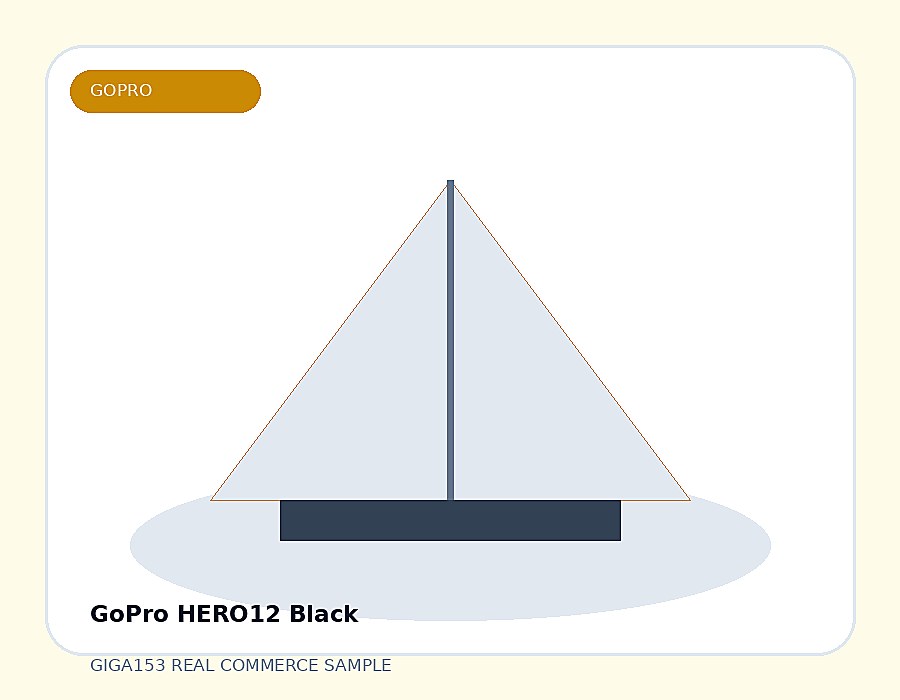 GoPro HERO12 Black