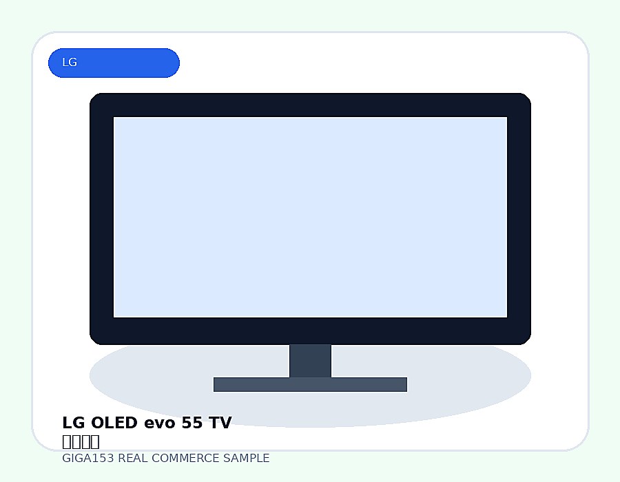 LG OLED evo 55 TV 기획세트