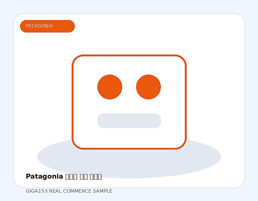 Patagonia 레트로 파일 플리스